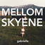 Cover Mellom skyene