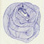 Cover Bright Forms
