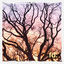 Cover Messy hopes (dreams, flickering bright)