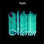 Cover Merlin