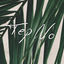 Cover Toluca Lake