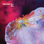 Cover Cold Enough For Snow Remixed