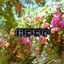 Cover Keep