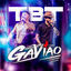 Cover Tbt do Gavião