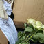 Cover Flowers