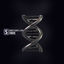 Cover Evolve
