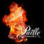 Cover Inflammable