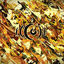 Cover Phoenix Rising (10 Year Anniversary Edition)