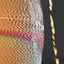 Cover Chroma