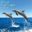 Cover Blue Horizon
