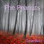Cover Love Story