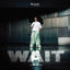 Cover Wait (Alibi Blue)