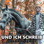 Cover Und ich schreib