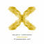 Cover Rebellion der Träumer X - The 10th Anniversary Remixes, Pt. 3