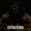 Cover TESTOSTERONE