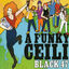 Cover A Funky Ceili
