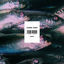 Cover Nadi
