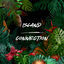 Cover Island Connection