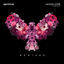 Cover Heading Home (Remixes)