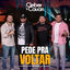 Cover Pede Pra Voltar