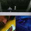 Cover 3 Boys