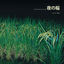 Cover Rice Field Silently Riping In The Night