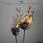 Cover Gravity / Dead Soon (Remixes)