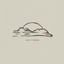 Cover Half of forever
