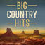 Cover Big Country Hits