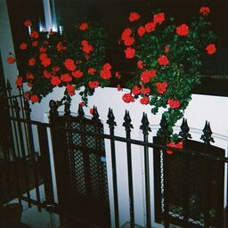 ''