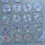 Cover Bootleg Tape