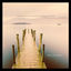 Cover Will
