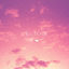 Cover Céu Rosé