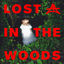 Cover Lost In The Woods
