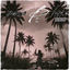 Cover paraBlum