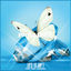Cover Paradies