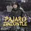 Cover PAJARO ZINZONTLE