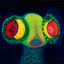 Cover Earthling