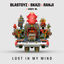Cover Lost In My Mind