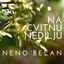 Cover Na Cvitnu Nedilju