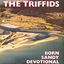 Cover Born Sandy Devotional