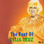 Cover The Best of Celia Cruz vol.2