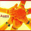 Cover Destinos