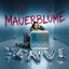 Cover MAUERBLUME