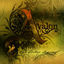 Cover Avalon - a Celtic Legend