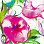 Cover Ashitaga Kurunara