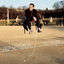 Cover Sur le fil