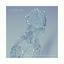 Cover Ataraxia