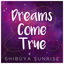 Cover Dreams Come True