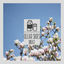 Cover Clear Skies